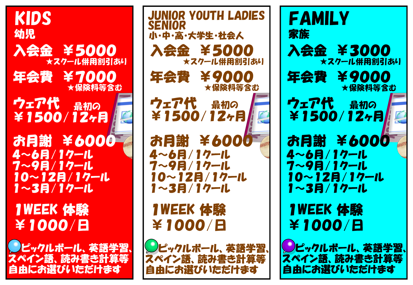 TODOS UNIDOS/日本-スペイン【ピックルボールクラブ】柏市,松戸市,千葉県☆初心者,経験者,幼児,小学生,中学生,高校生,大学生,社会人,女性,男性 FOR ALL