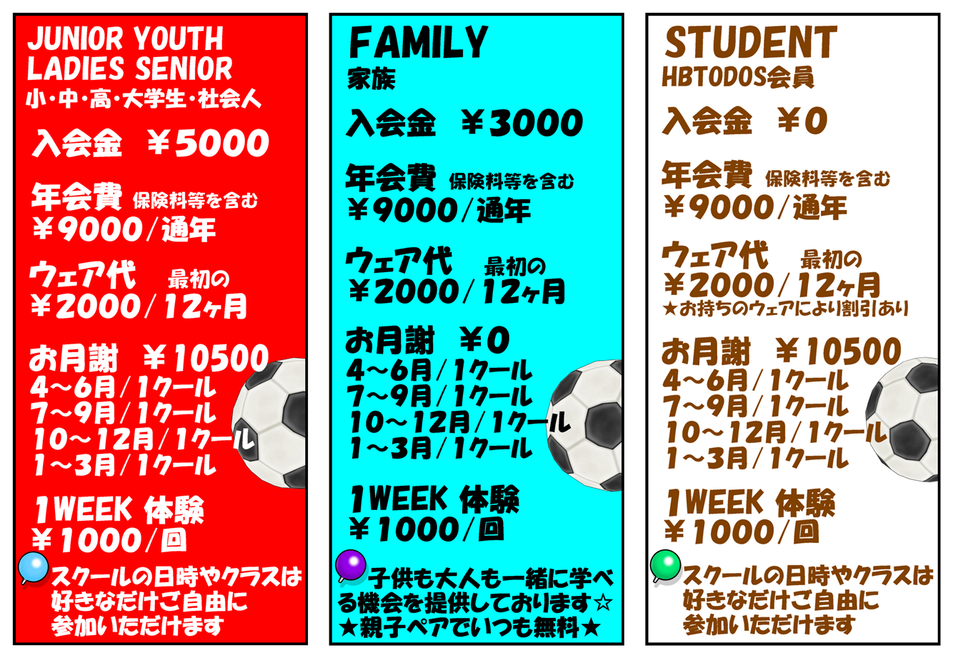TODOS UNIDOS/日本-スペイン【サッカースクール】柏市,松戸市,千葉県☆初心者,経験者,幼児,小学生,中学生,高校生,大学生,社会人,女性,男性 FOR ALL