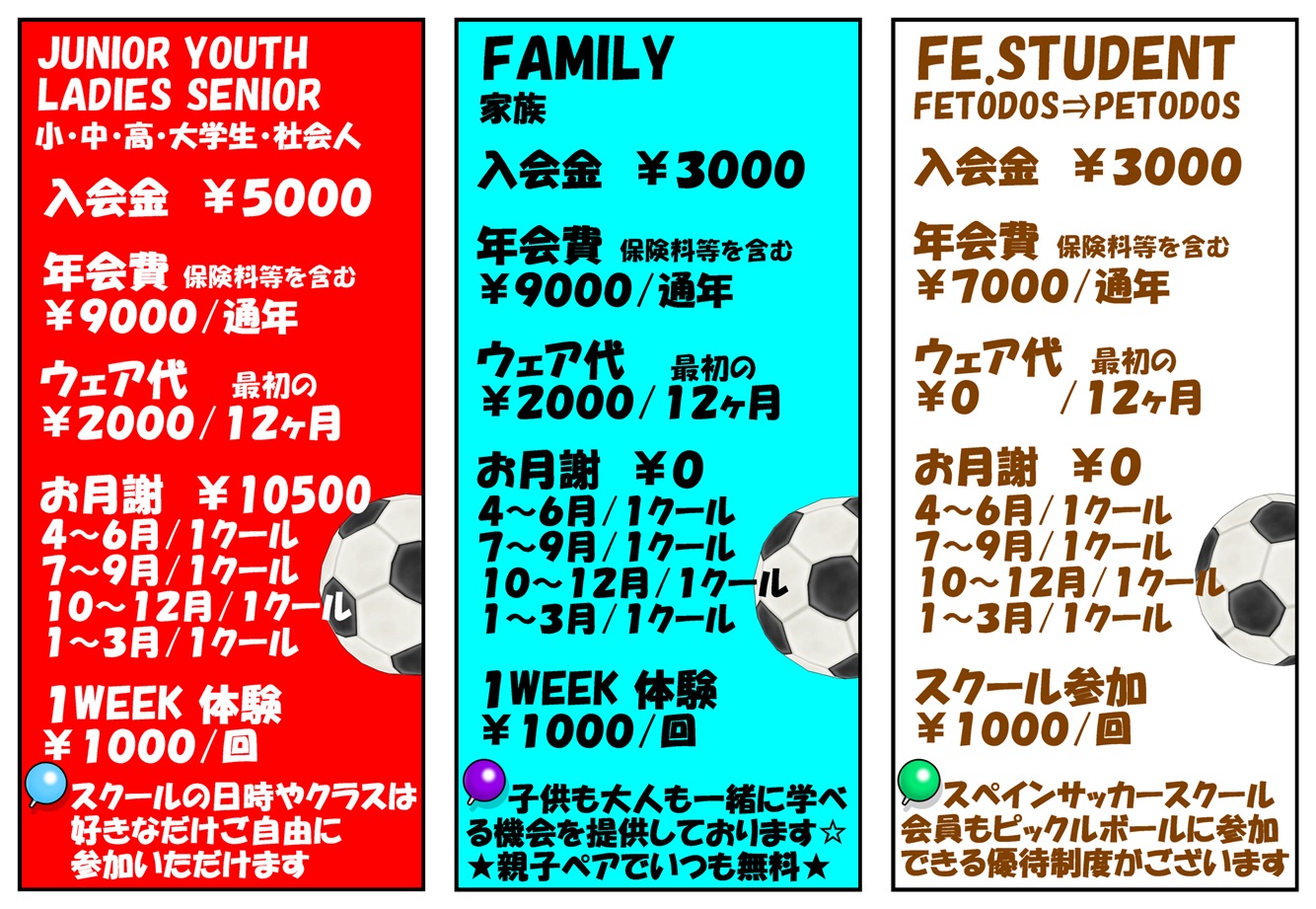 TODOS UNIDOS/日本-スペイン【サッカースクール】柏市,松戸市,千葉県☆初心者,経験者,幼児,小学生,中学生,高校生,大学生,社会人,女性,男性 FOR ALL